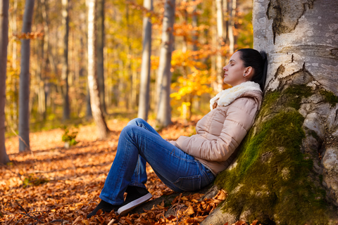 Strength from Within: A Course on Inward Soundness